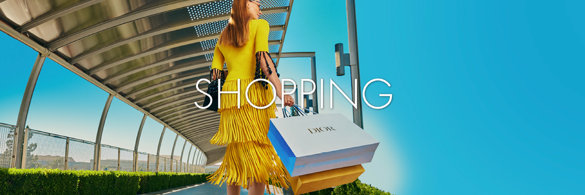 Shopping Top Image